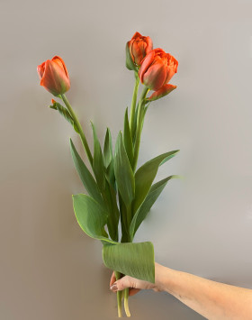 3 оранжевых пионовидных тюльпана